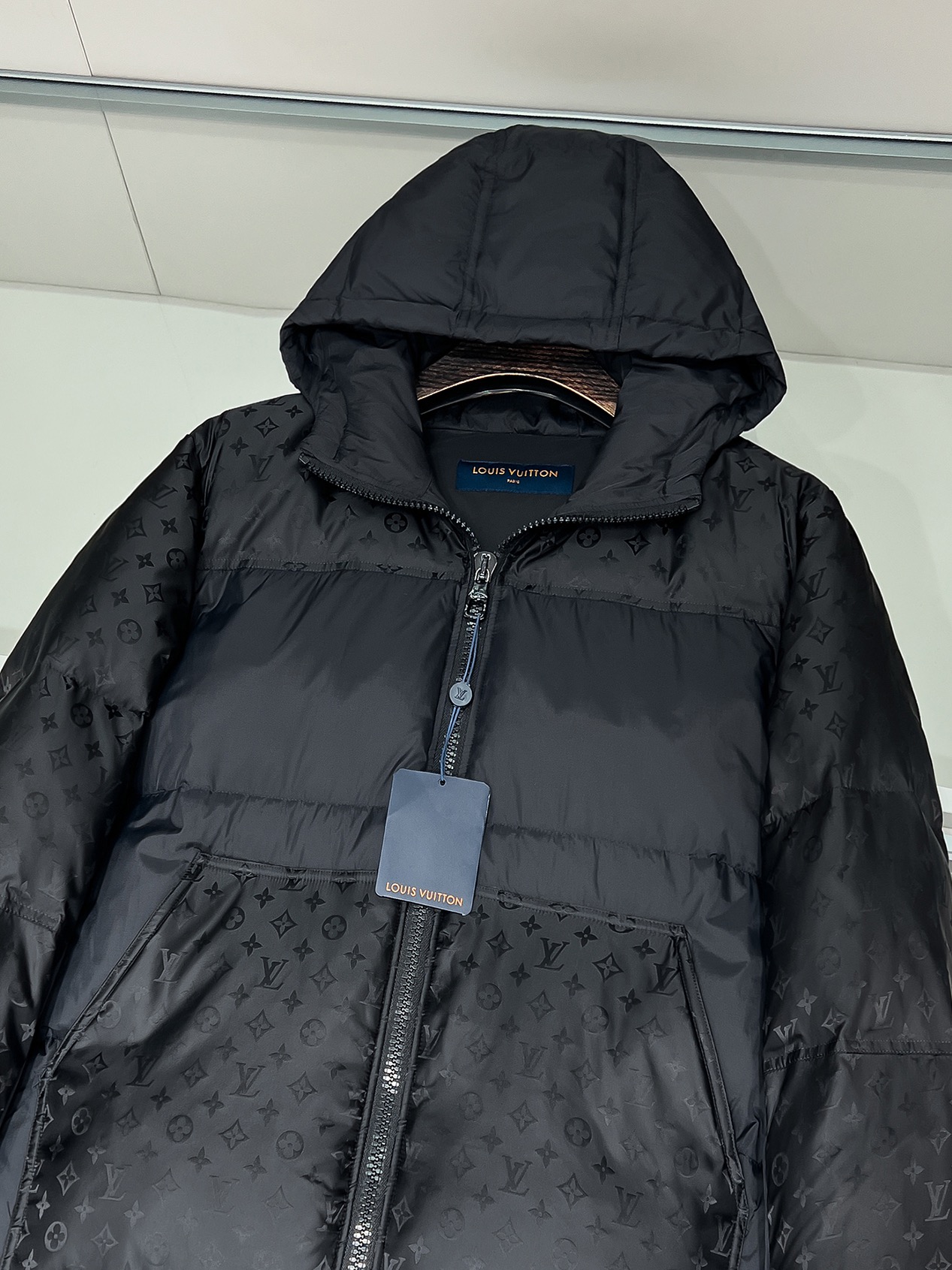 Louis Vuitton Down Jackets